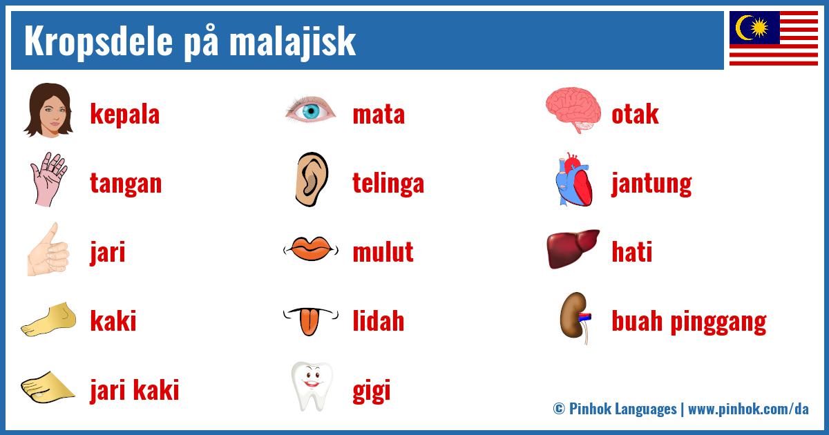 Kropsdele på malajisk