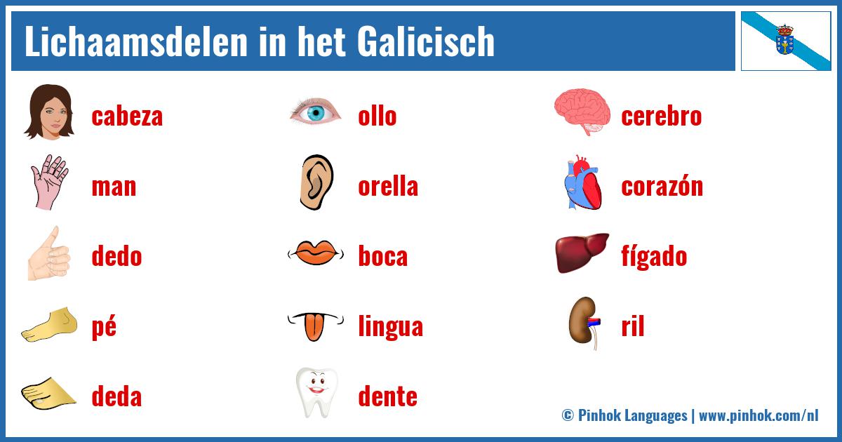 Lichaamsdelen in het Galicisch