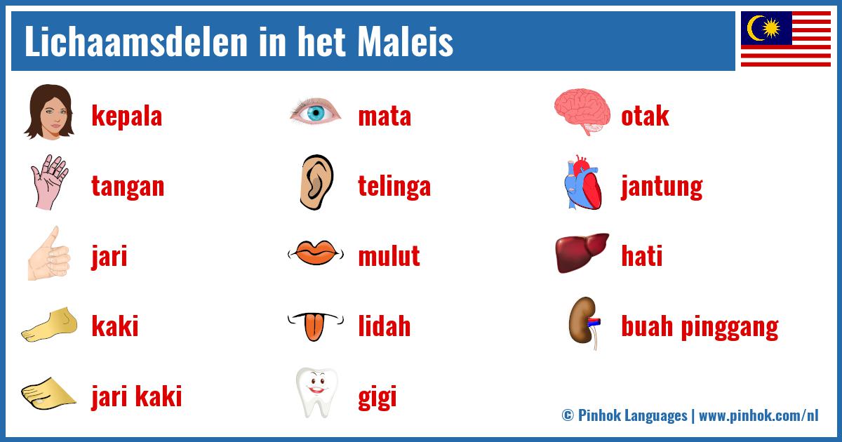 Lichaamsdelen in het Maleis