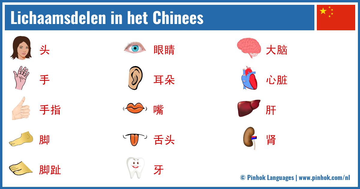 Lichaamsdelen in het Chinees