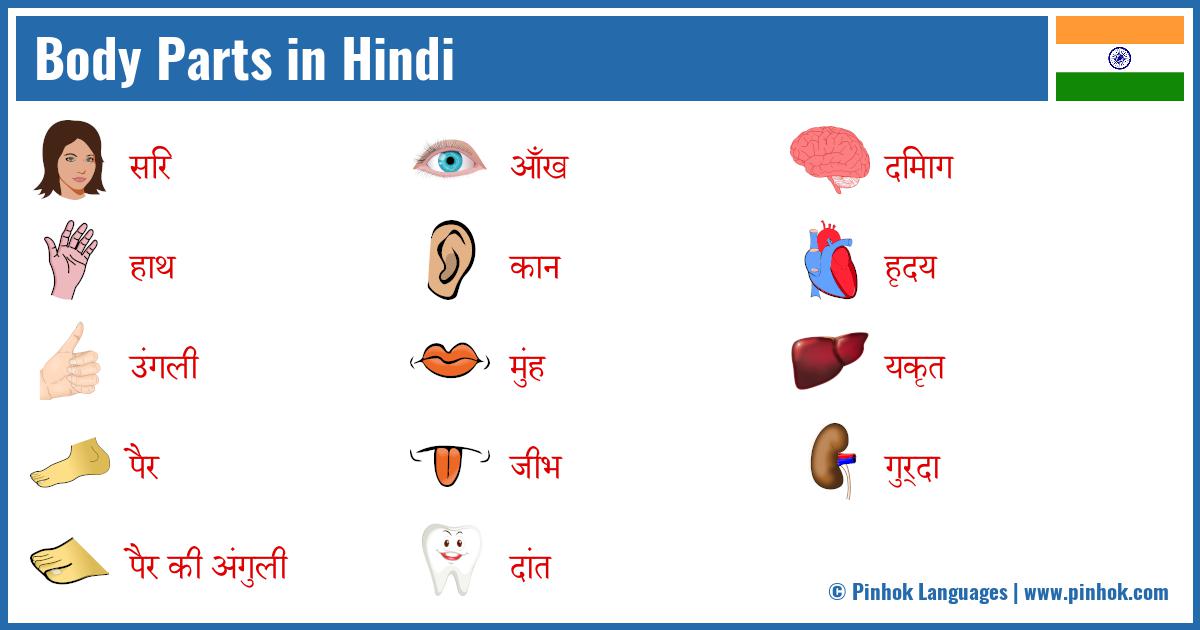 Body Parts in Hindi