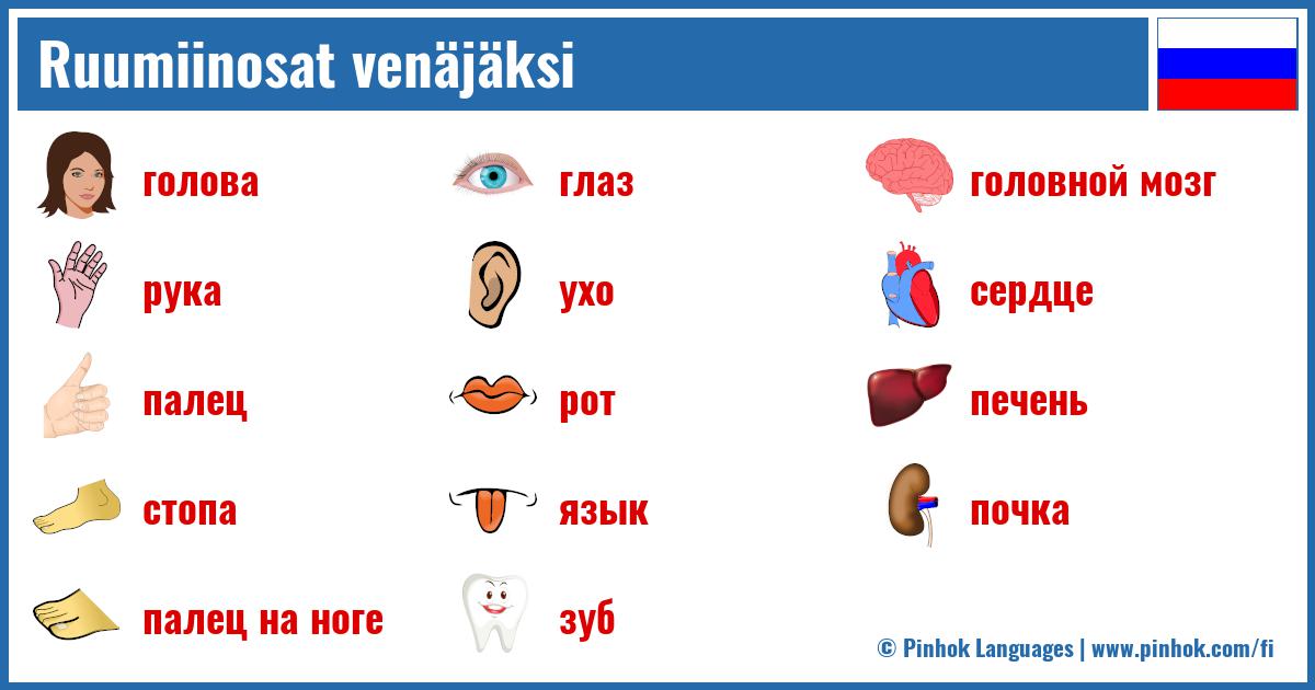 Ruumiinosat venäjäksi