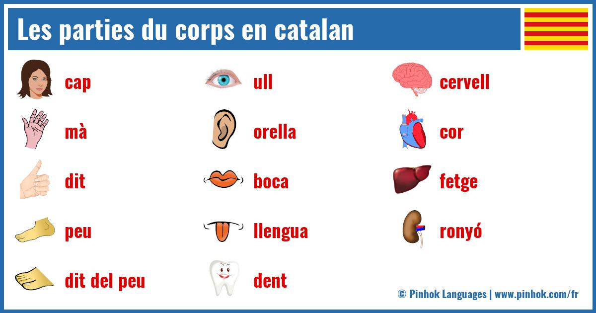 Les parties du corps en catalan