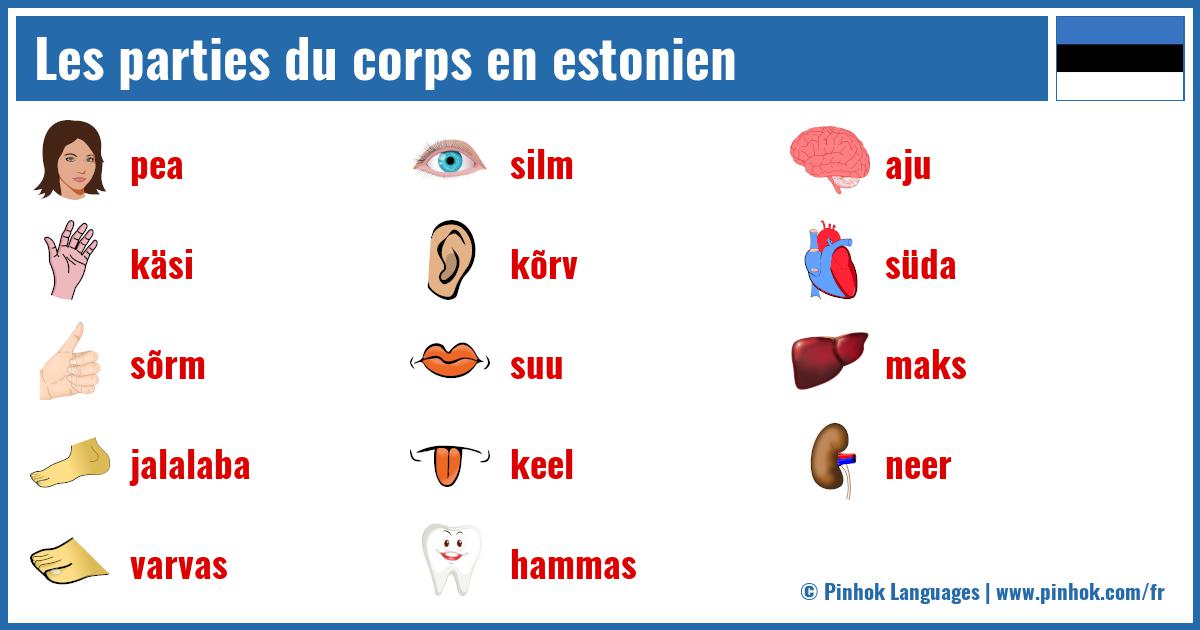 Les parties du corps en estonien