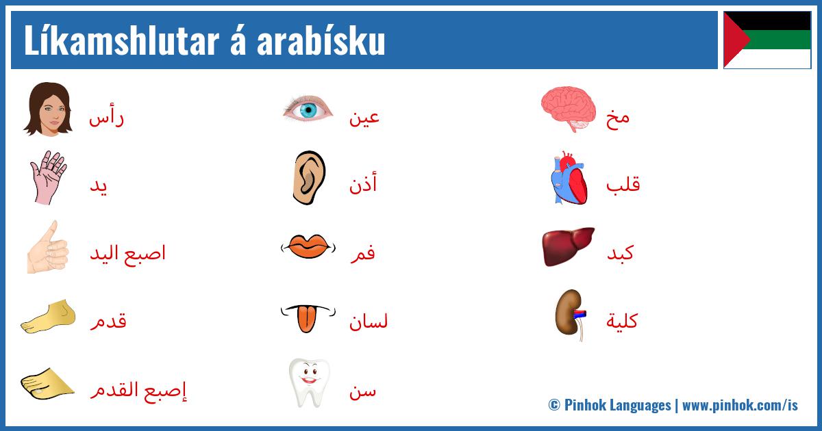 Líkamshlutar á arabísku