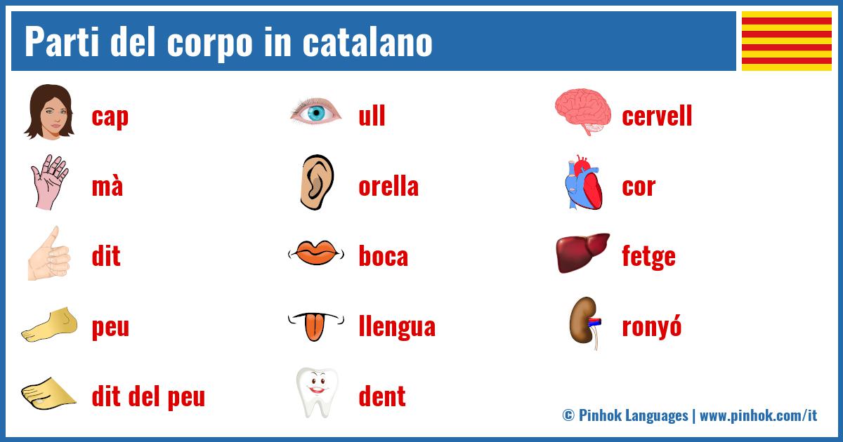 Parti del corpo in catalano