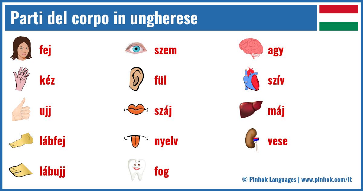 Parti del corpo in ungherese