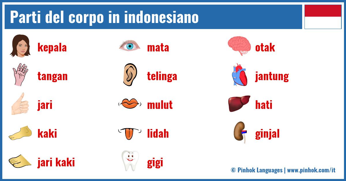 Parti del corpo in indonesiano