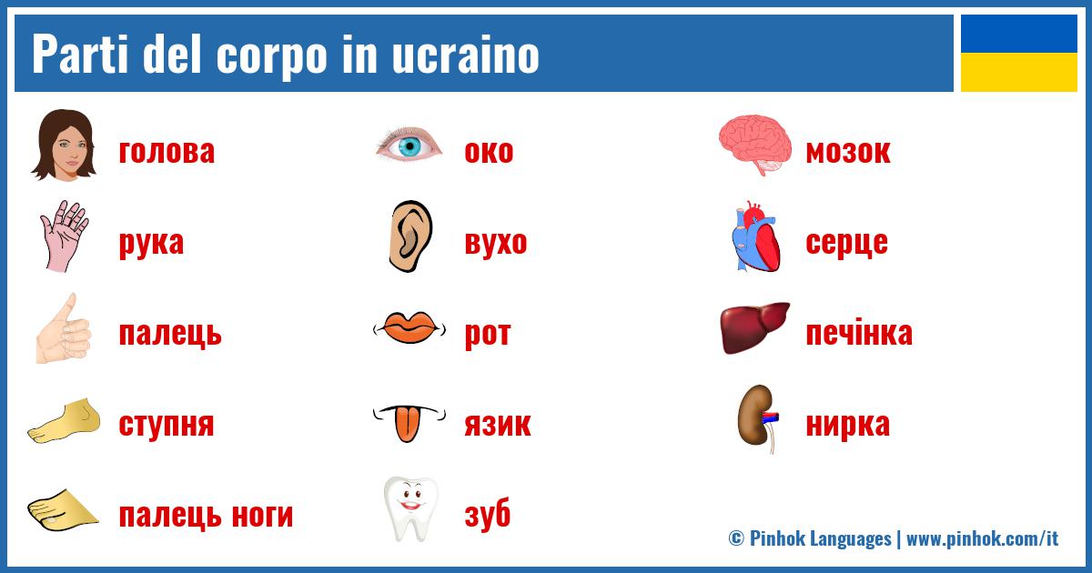 Parti del corpo in ucraino