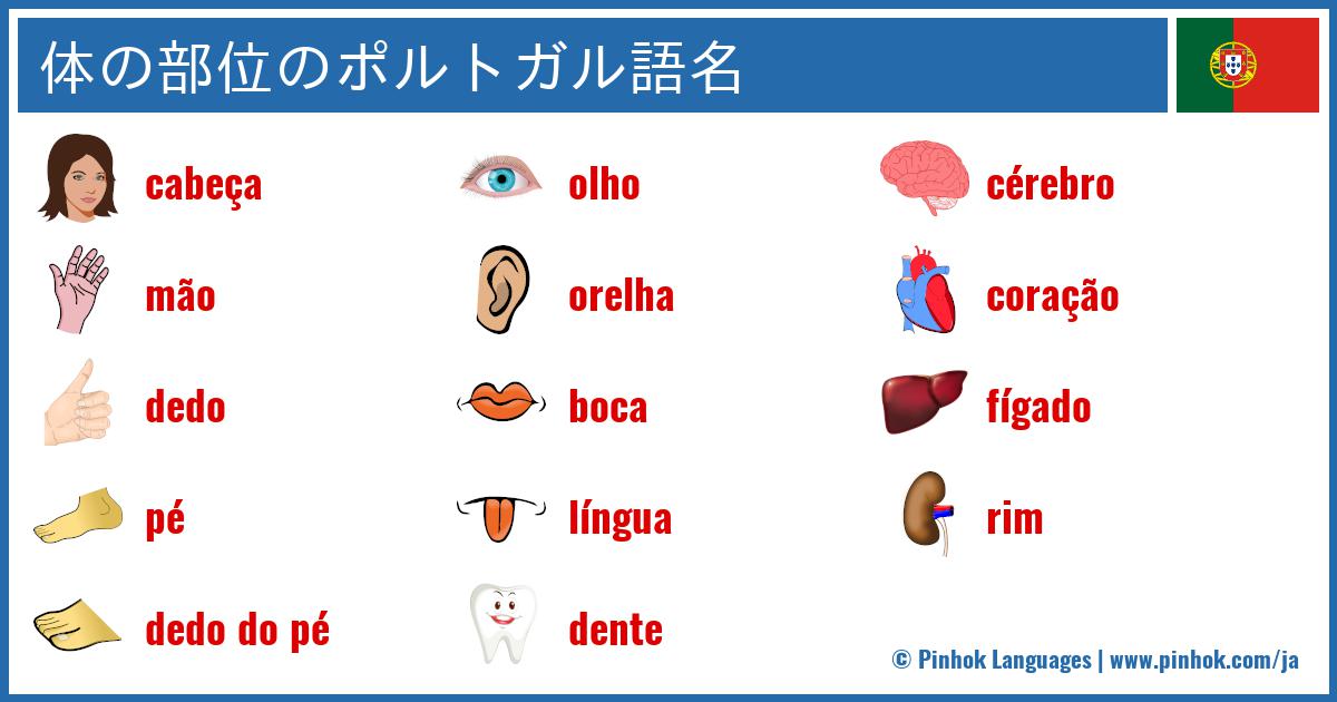 体の部位のポルトガル語名