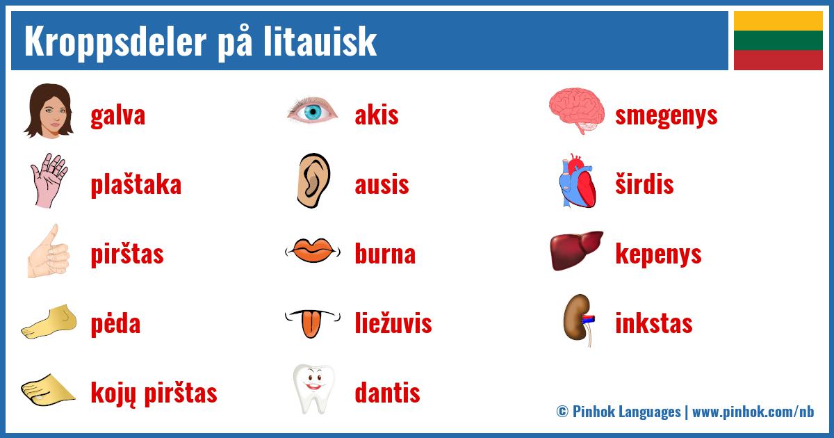 Kroppsdeler på litauisk