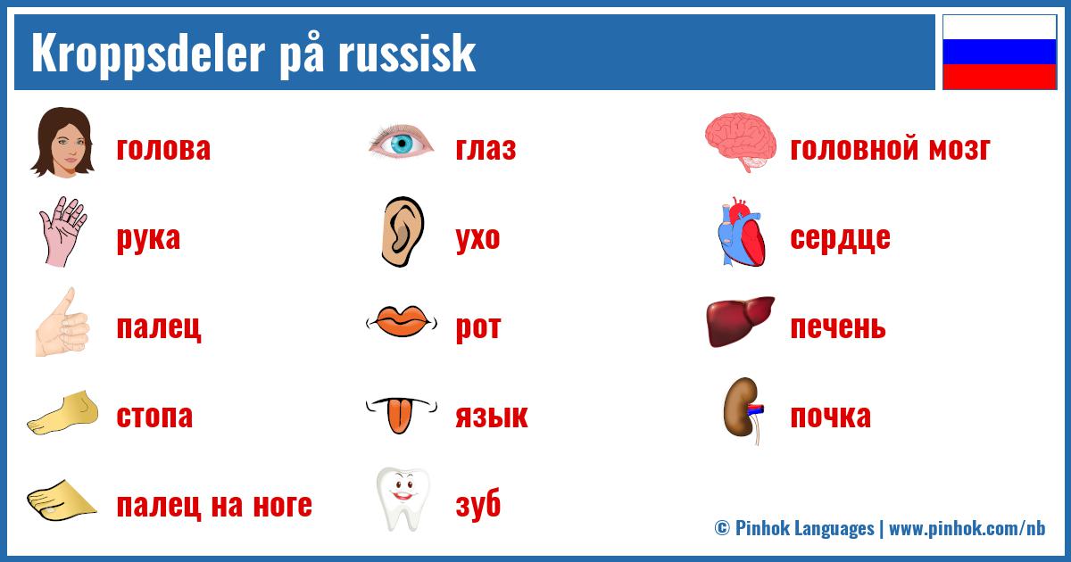 Kroppsdeler på russisk