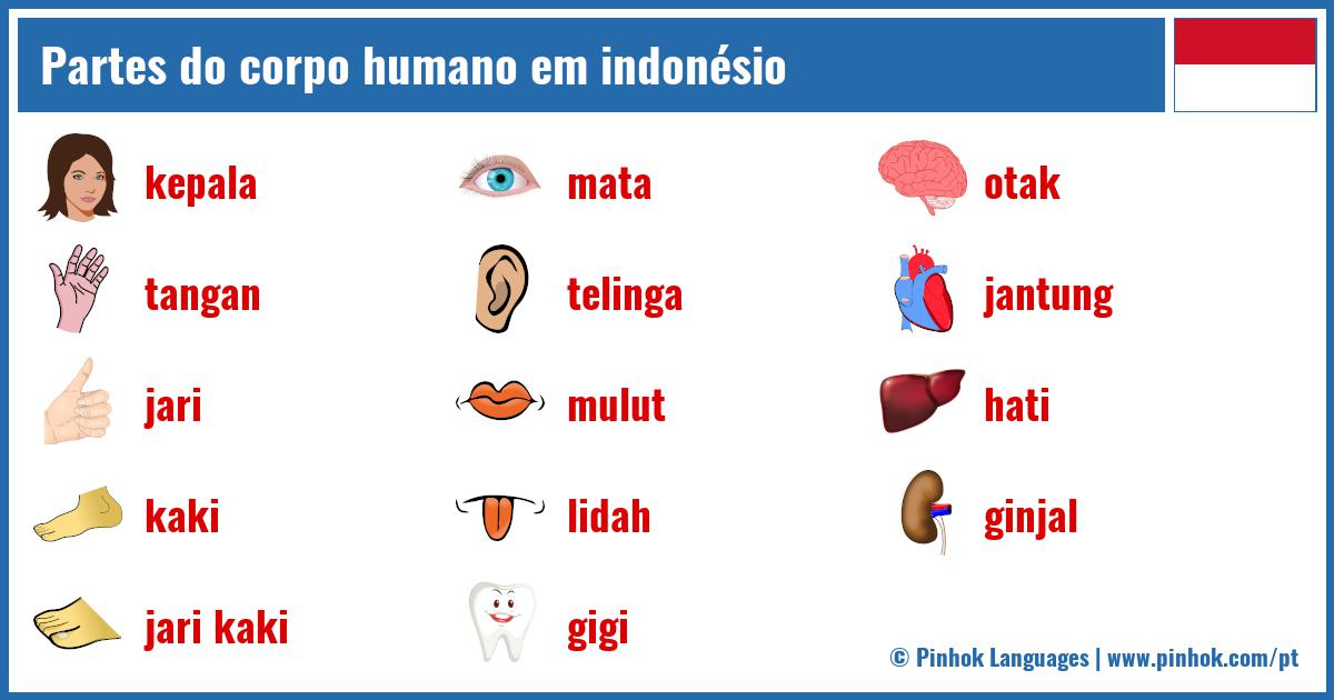 Partes do corpo humano em indonésio