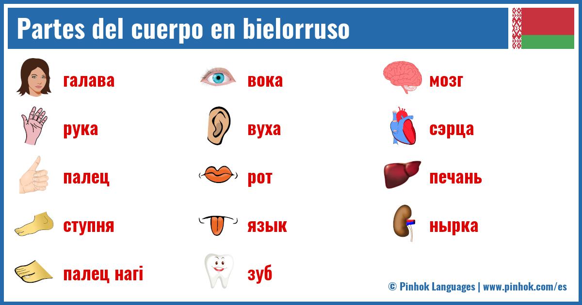 Partes del cuerpo en bielorruso