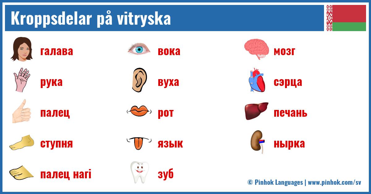 Kroppsdelar på vitryska